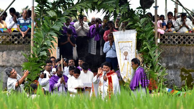 Villager’s of Raia reap the first ‘Konnos’
