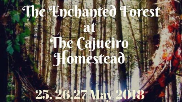 Experience ‘The Enchanted Forest’ at The Cajueiro Homestead, Valpoi
