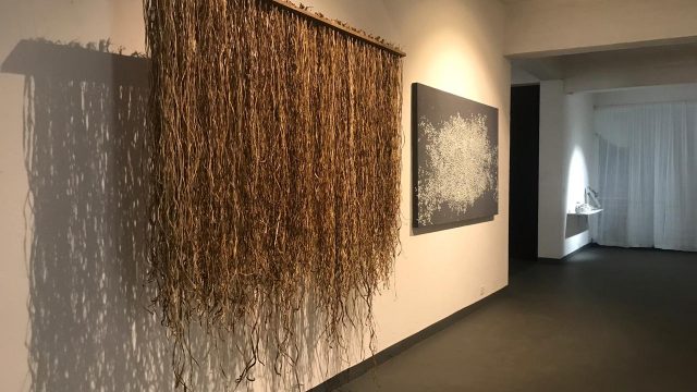 ‘Into the Vault’ at Museum of Goa