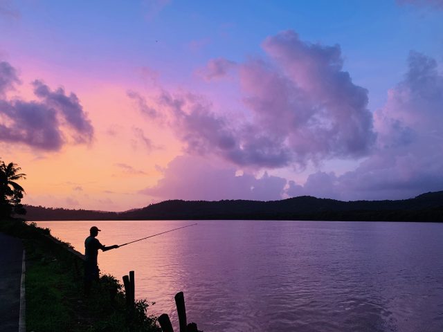 Pictures to make you fall in love with Goa