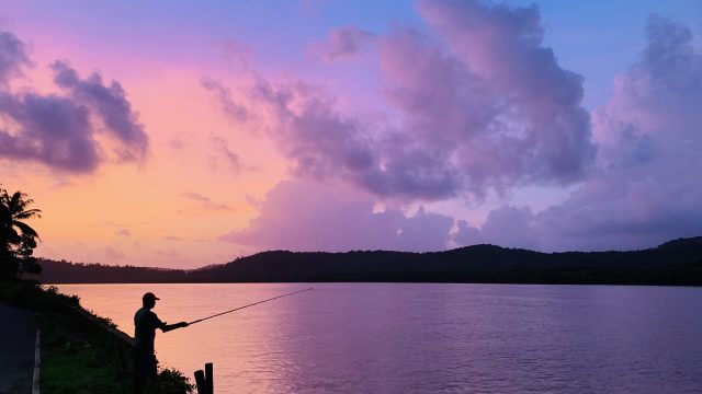Pictures to make you fall in love with Goa