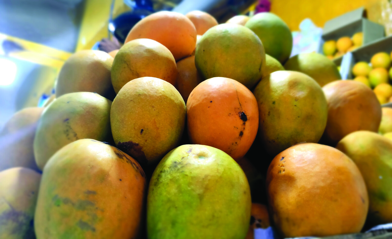 Delightful Summer Fruits of Goa - GoGoaNow ! Goa Events