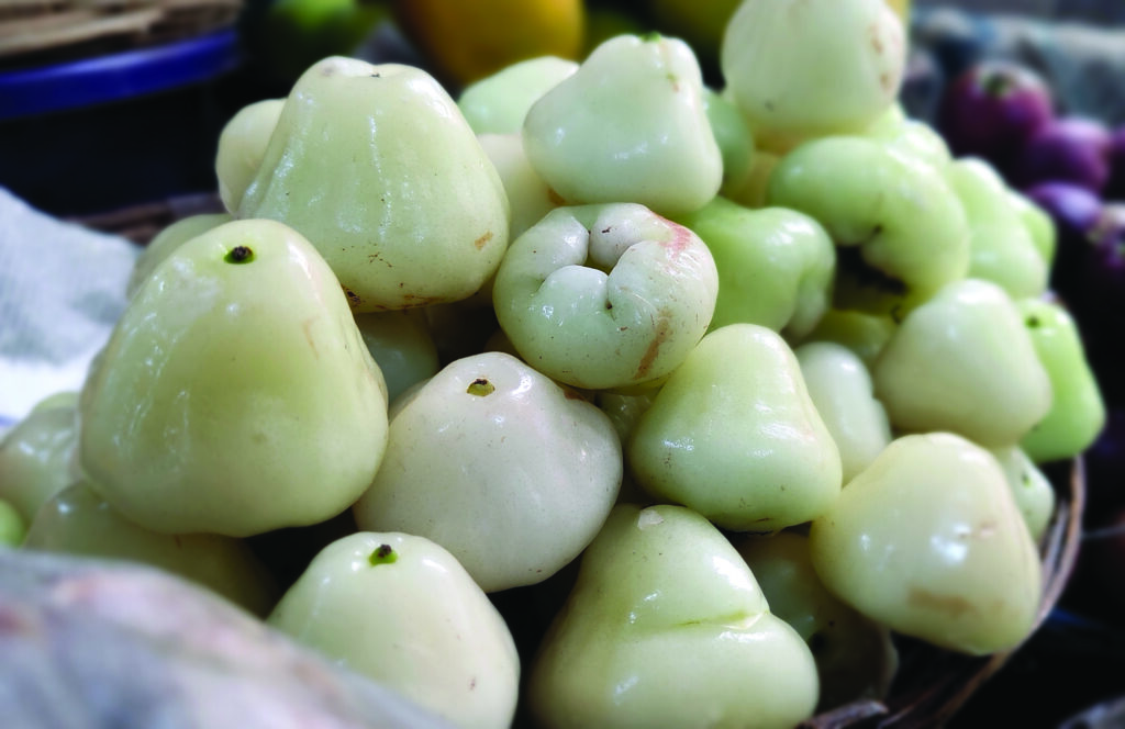 Delightful Summer Fruits of Goa - GoGoaNow ! Goa Events