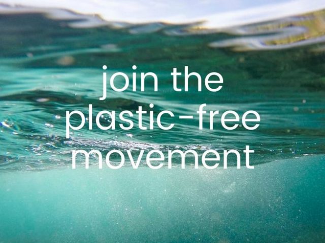 Students of Dempo College strive for a plastic-free Taleigao