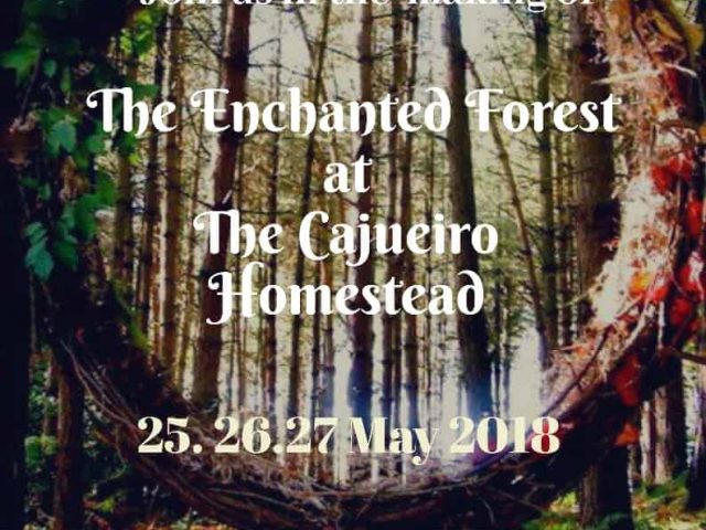 Experience ‘The Enchanted Forest’ at The Cajueiro Homestead, Valpoi