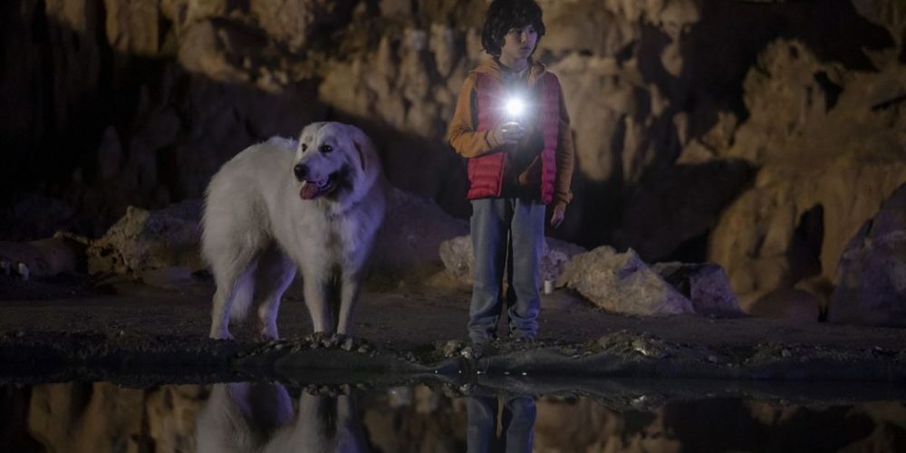 The Unwanted… The Abuser… The Dog…