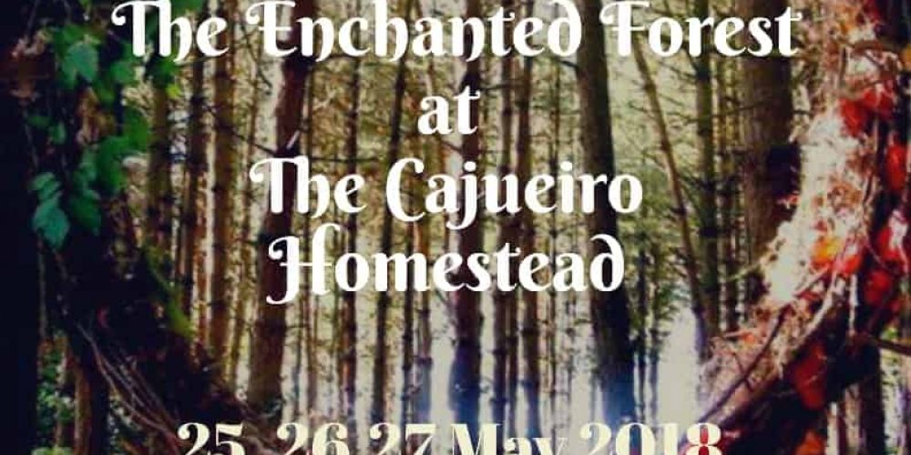 Experience ‘The Enchanted Forest’ at The Cajueiro Homestead, Valpoi