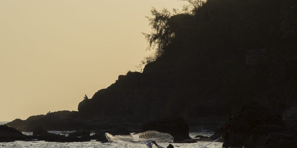 Whirlpools, crocodiles, and more. Find out what the life of a fisherman is like.