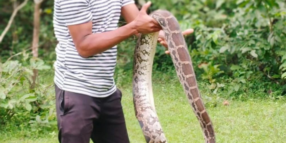 Goa’s green heroes