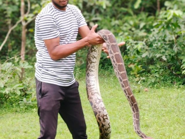 Goa’s green heroes