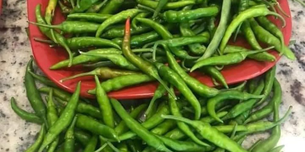 Summer vegetables of Goa