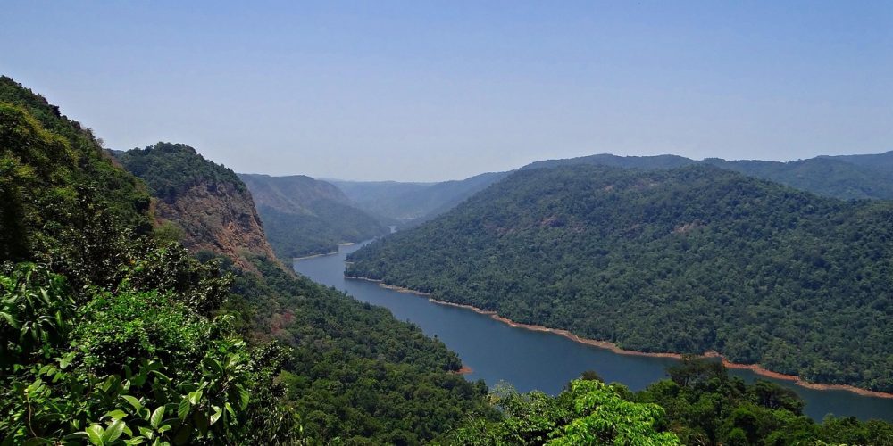 In the embrace of Goa’s monsoon 