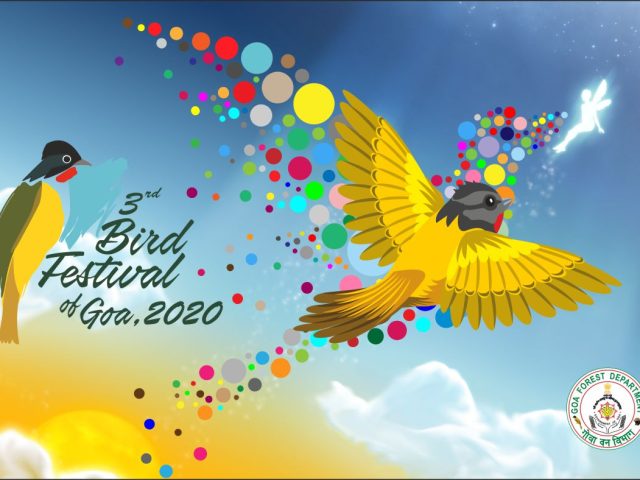 Experience the beauty of birds